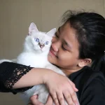 jenis kucing untuk dipelihara