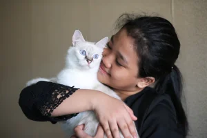 jenis kucing untuk dipelihara