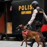 jenis anjing polisi