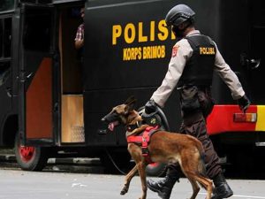 jenis anjing polisi