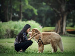 PERKIN: Sejarah dan Cara Menjadi Anggotanya