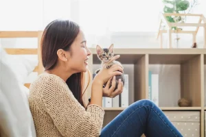 3 Cara Membersihkan Hidung Kucing yang Bisa Dilakukan di Rumah