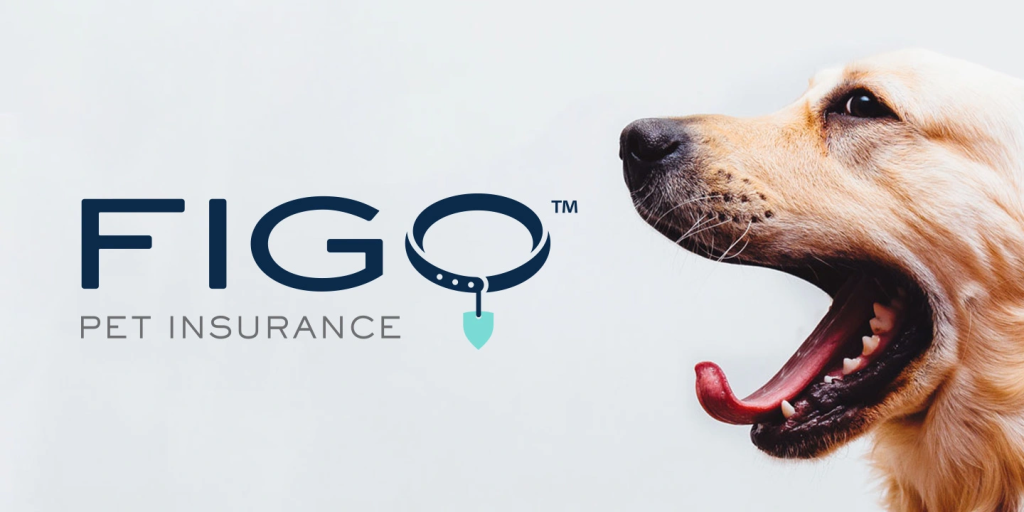  Figo Pet Insurance