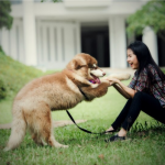 Hewan Peliharaan yang Menyelamatkan Nyawa Pemilik Mereka