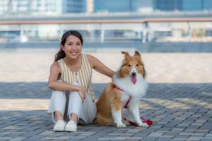 8 Daftar Anjing Paling Pintar dan Tips Melatihnya