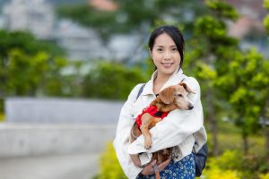 Peraturan Membawa Hewan ke Pesawat: Jangan Terbang Sebelum Baca Ini!
