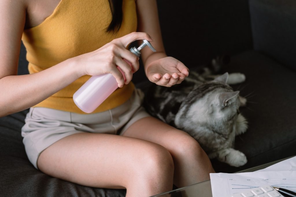 kenapa kucing tidak suka dengan wangi tertentu