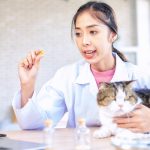 vitamin manusia untuk kucing